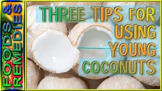 Homemade Coconut Kefir & Coconut Milk