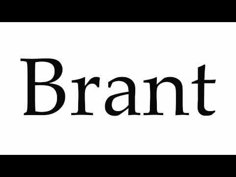 How to Pronounce Brant