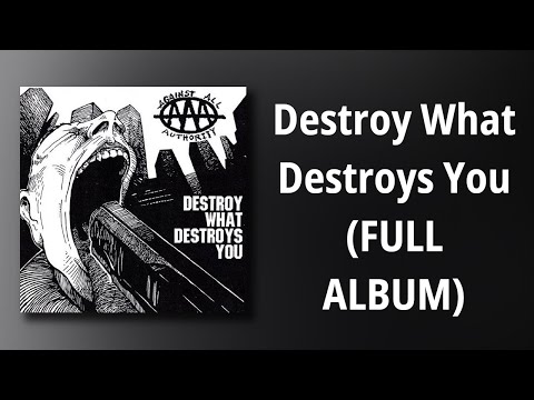 Destroy What Destroys You cover