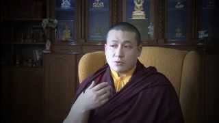 Welcome to the new karmapa.org - a message from His Holiness Karmapa Thaye Dorje