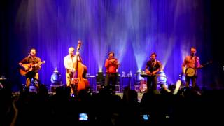 The Infamous Stringdusters - 