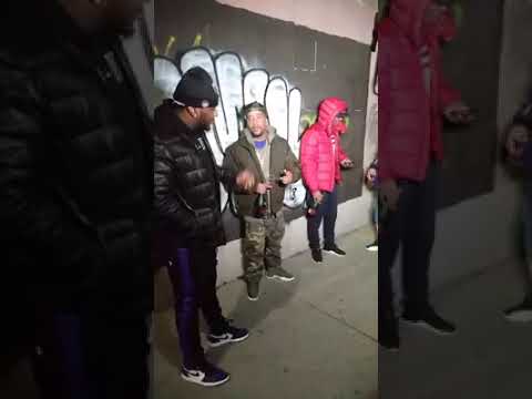 BTS Pslums x lik moss obh officail dawgz Boston scenes