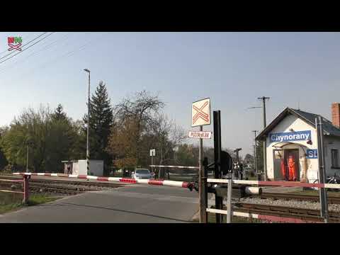 Železničné priecestie Chynorany #1 [SP2412] - 23.10.2019 / Žel. přejezd / Slovak railroad crossing