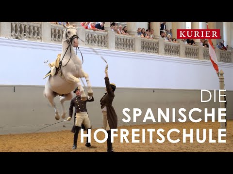 Spanish Riding School: An exclusive look behind the scenes - report