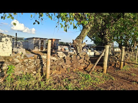CEMITÉRIO DA RAIA DA ALAGOA EM CAPINZAL SC,QUE TEM A HISTORIA MUITO TRISTE DE UM DELEGADO 