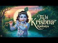 तू ही कृष्ण कन्हैया Tuu Hi Krishna Kanhaiya Made By Heartwaves Krisn