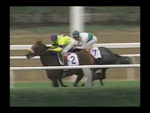 1995 Turf Classic Invitational Stakes - Turk Passer
