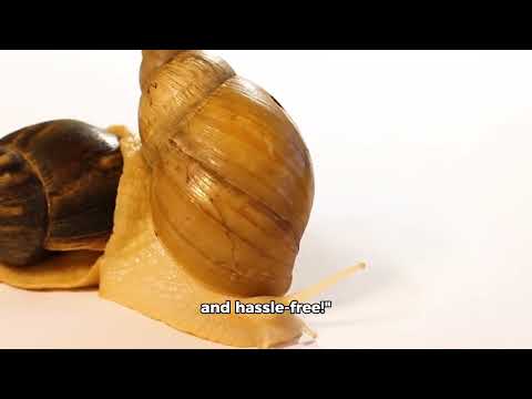 5 easy kitchen hacks your life easy inside the kitchen