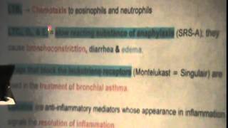22) Dr. Rasheed 28- 12- 2014 [Eicosanoids - Lipid Transport in the Blood]