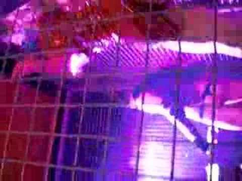 IBIZA giugno 2008 serata troya SPACE