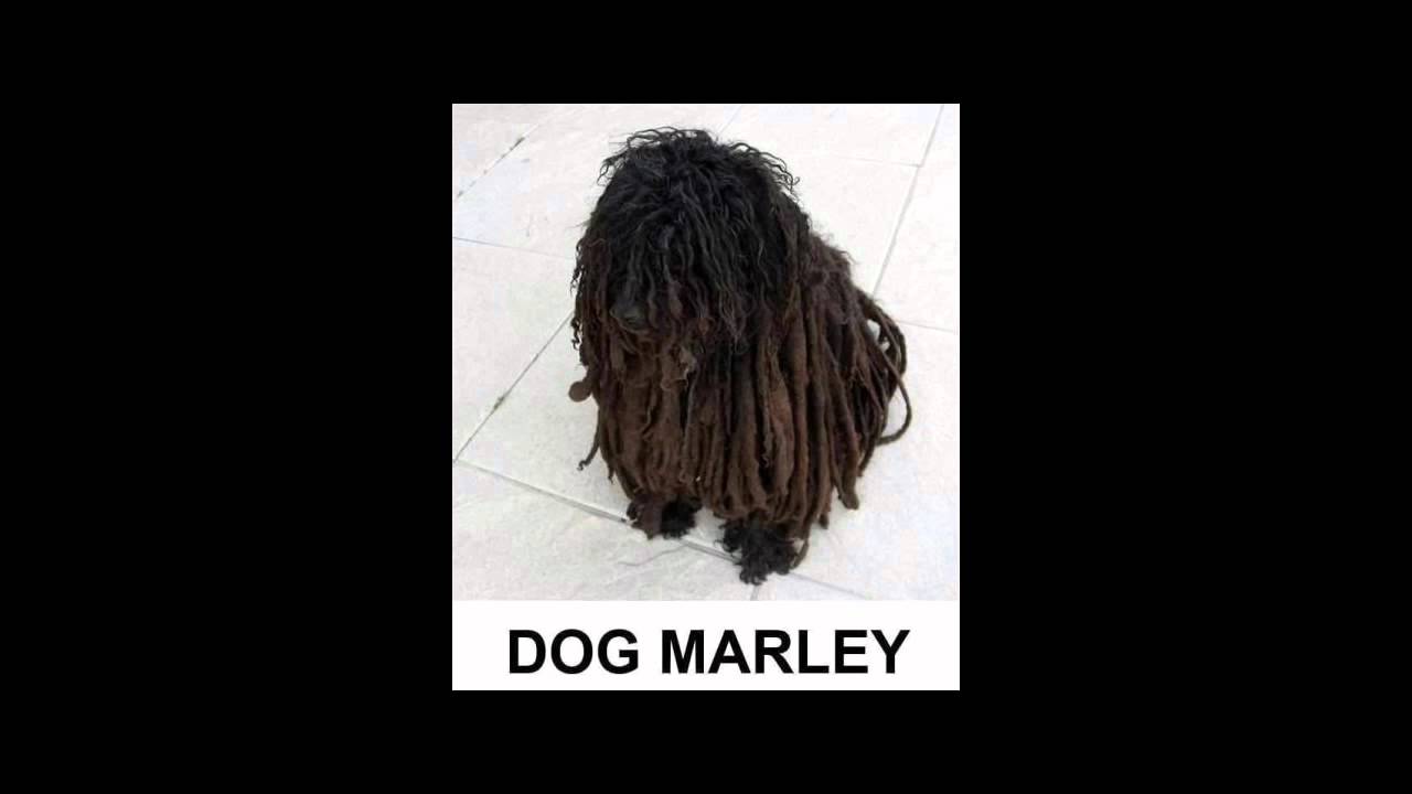 SET ELECTRO @ PRIVATE JUNIO 2012