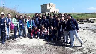Thalassia per le Scuole - Gite scolastiche in Puglia
