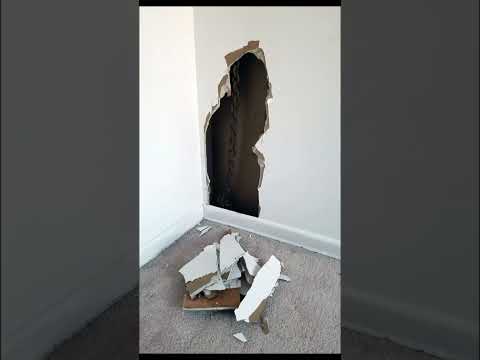 Strange things found in peoples homes😳😳😳 #shorts #scary