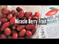 Tasting Miracle Berry Fruit – Fruity Fruits