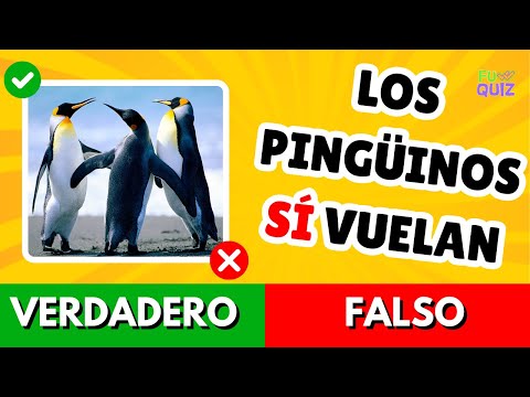 Challenge: TRUE or FALSE? ✅❌🤔 | 40 General Knowledge Questions