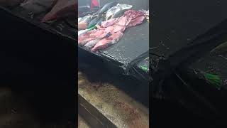 Download lagu beli ikan segar di pasar youtefa jayapura#papua #food mp3