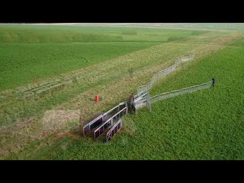 A Farmers Thoughts on the Rappa Series 12 Mobile Yard | Rappa