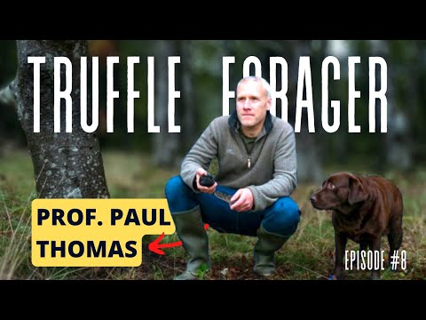 How To Cultivate Truffles In Your Garden - Interview With Truffle Expert Prof. Paul Thomas - TFP #8
