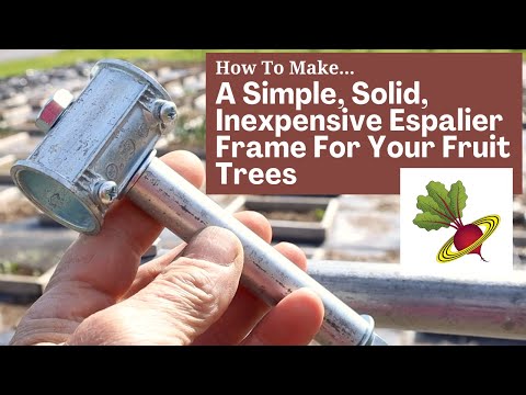 How To Make A Simple, Solid, Inexpensive Espalier Frame For Your Fruit Trees
