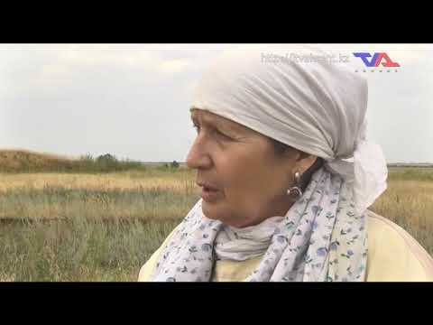 «Күн» ақпараттық бағдарлама. 29 шілде 2020ж