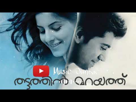 Separation in Love | Thattathin Marayathu BGM | Nivin Pauly | Vineeth Sreenivasan | Music Junkie