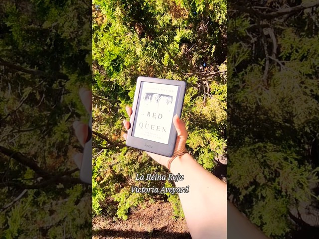 Vídeo relacionado con Serie Reina Roja (La reina roja)