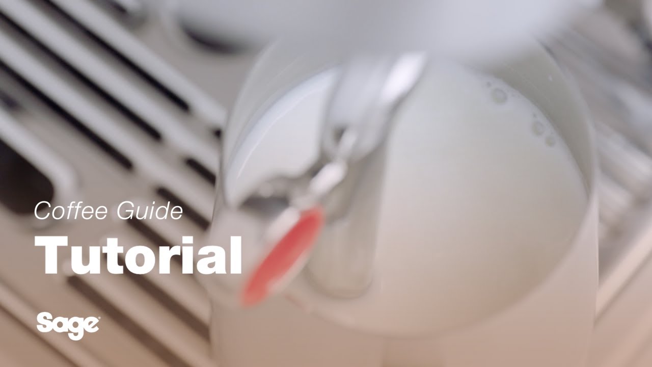 Auto MilQ Hands-free Milk Texturing