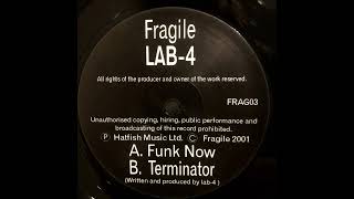 Lab 4 - Terminator