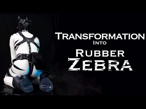 Transformation into Rubber Zebra - ASMR