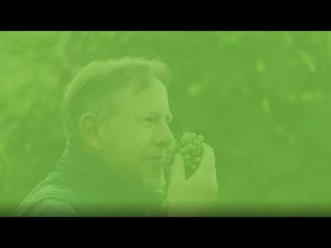 Wussten Sie, wie sich fehlerhafte Weine auf die Umwelt auswirken?