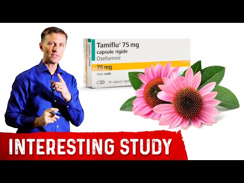 Forget the Coffee Do Wheat Grass Juice for ENERGY