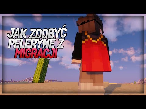 JAK ODEBRAĆ PELERYNE Z MIGRACJI #shorts