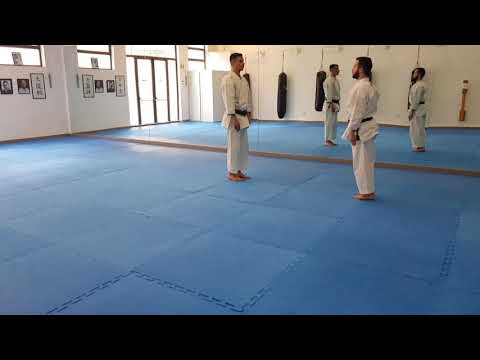 Wado-ryu - Kihon kumite ohyo no waza (1-4)