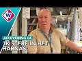 Hard voor Weinig: Hoe ziet de toekomst van de Haagse Markt eruit? – OMROEP WEST