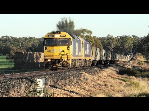 BL27-8141 on 7936V which loaded at Speed & Donald seen near Emu.  10-07-19.   08.17.20.
