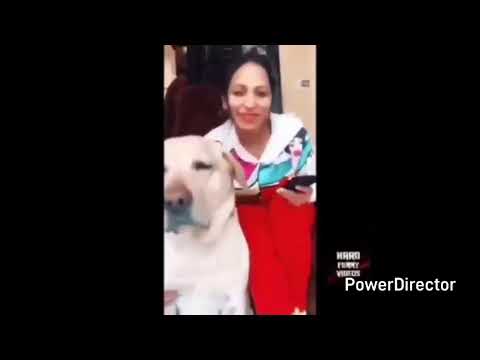 CoSmO Core - Requiem for a Dreamzzzzzz  (ACAB rec. HardBootleg )