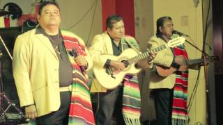 Los Hermanos Jimenez (La Brujita) Gira USA 2013