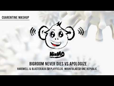 BIGROOM NEVER DIES VS APOLOGIZE/HARDWELL & BLASTERJAXX VS PL4YFIELDS VS ONE REPUBLIC / NINMO MASHUP