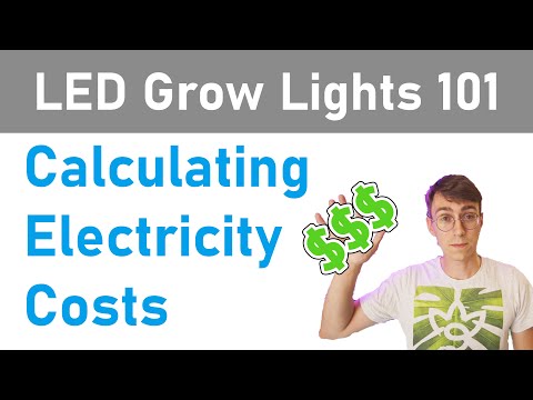 YouTube video about: How much does it cost to rent lighting equipment?
