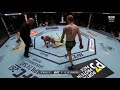 SEAN O MALLEY KNOCKOUT THOMAS ALMEIDA