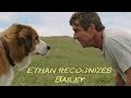 A Dogs Purpose - Ethan recognizes Bailey (HD)