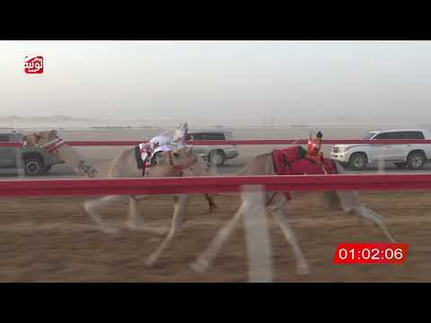 ش 8 (فارس) لـ سعيد سالم العامري 2:10 ، شارة الصندوق 2026/07/02 الروضة فطامين