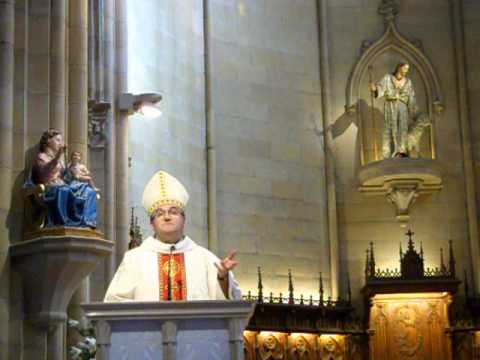 Homilia de Mons Jose Ignacio Munilla 31-7-2014 en la catedral