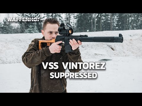 VSS Vintorez Suppressed - Spetsnaz Special Rifle Tested