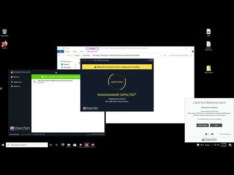 Ryuk Ransomware Demo