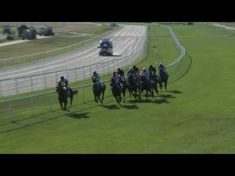 2017.07.30. 6. futam - EPSOMI DÍJ (I.kat.)