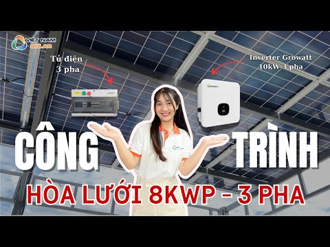 Video hệ Hòa lưới