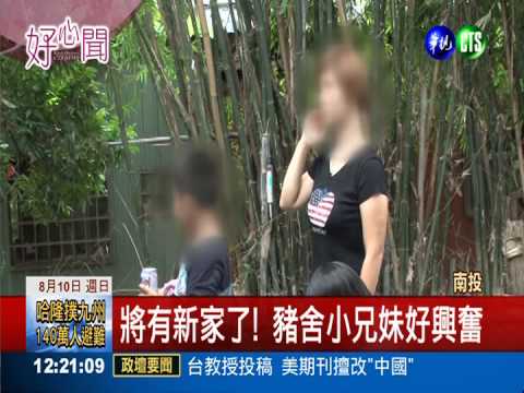 義工幫蓋厝 豬舍小兄妹有新家了!