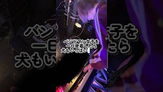 【vlog】バンドマン女子を一日密着したら犬もいっぱいいた(?)#dog #バンド #vlog #多頭飼い#band