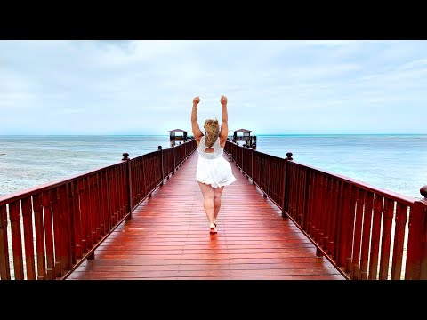 download lagu mp3 mp4 Reisefhrer Sansibar Download, download lagu Reisefhrer Sansibar Download gratis, unduh video klip Reisefhrer Sansibar Download